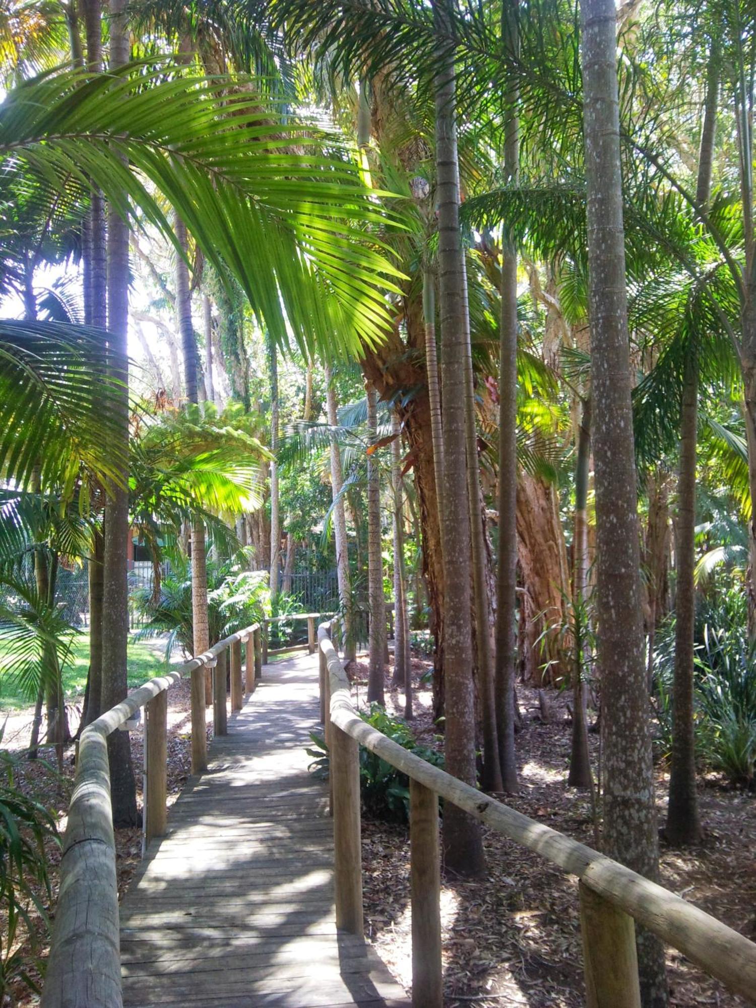 Beach Resort Apartment Port Macquarie Bagian luar foto
